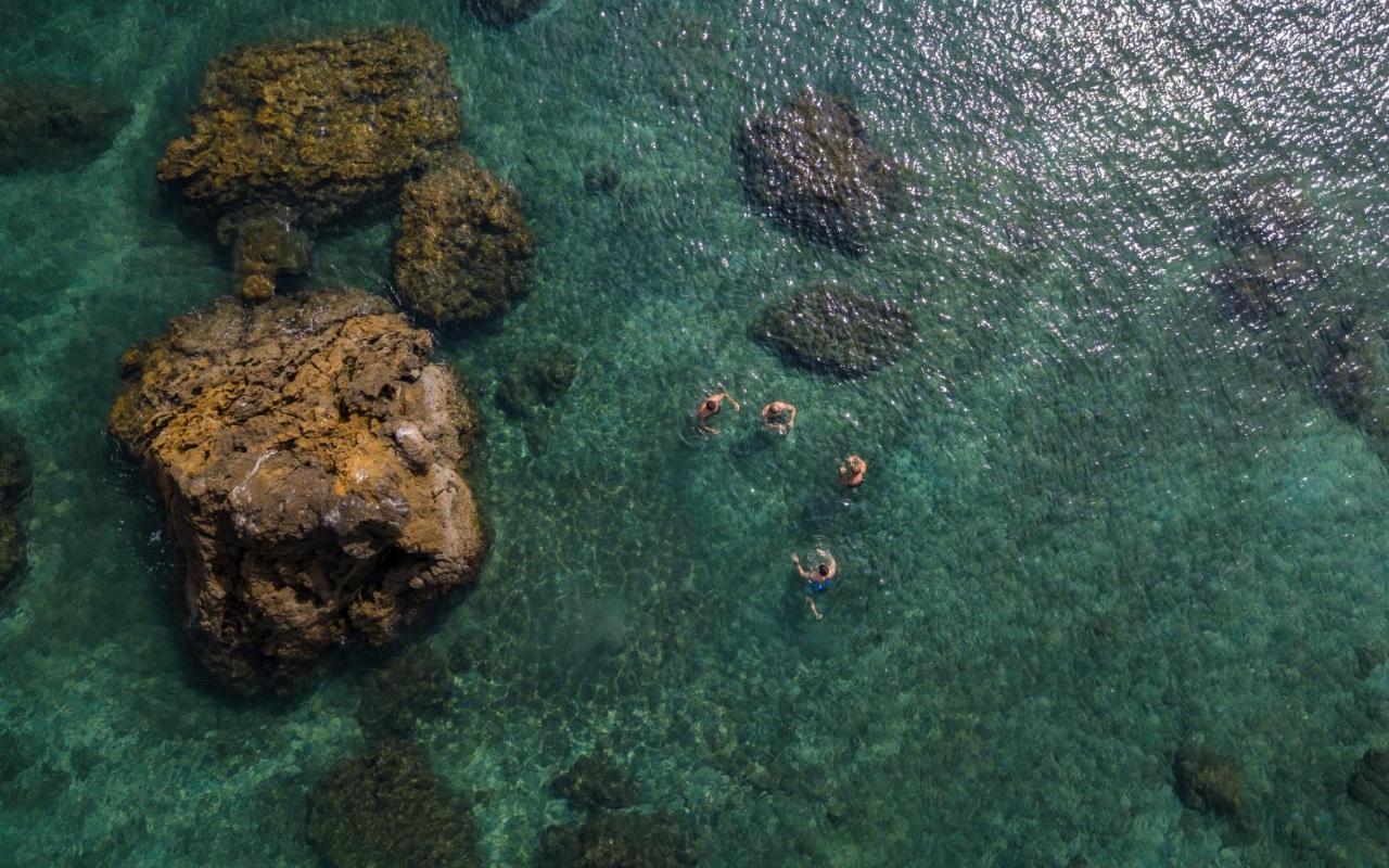 Los Vivos Beachfront Experience Pochote المظهر الخارجي الصورة