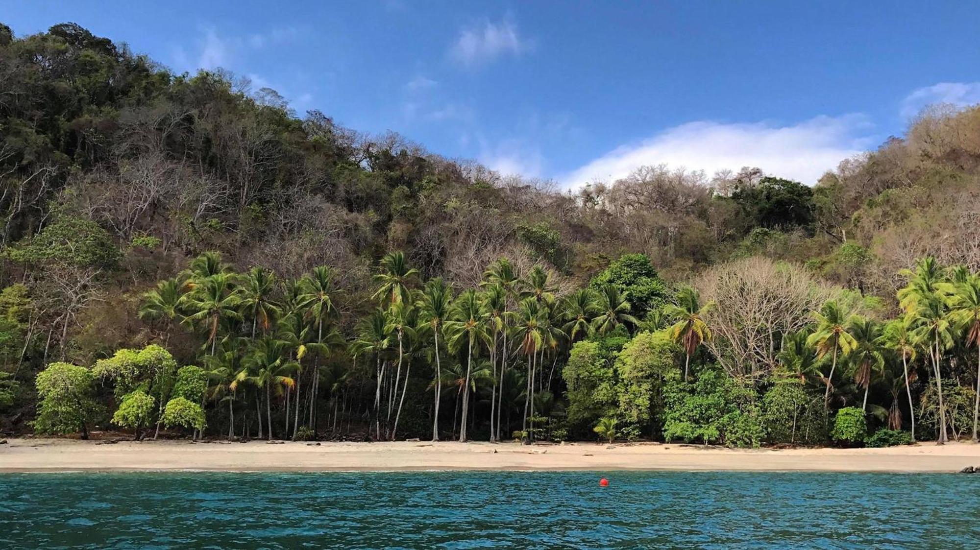 Los Vivos Beachfront Experience Pochote المظهر الخارجي الصورة